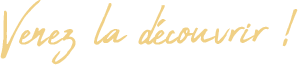 img_discover.png
